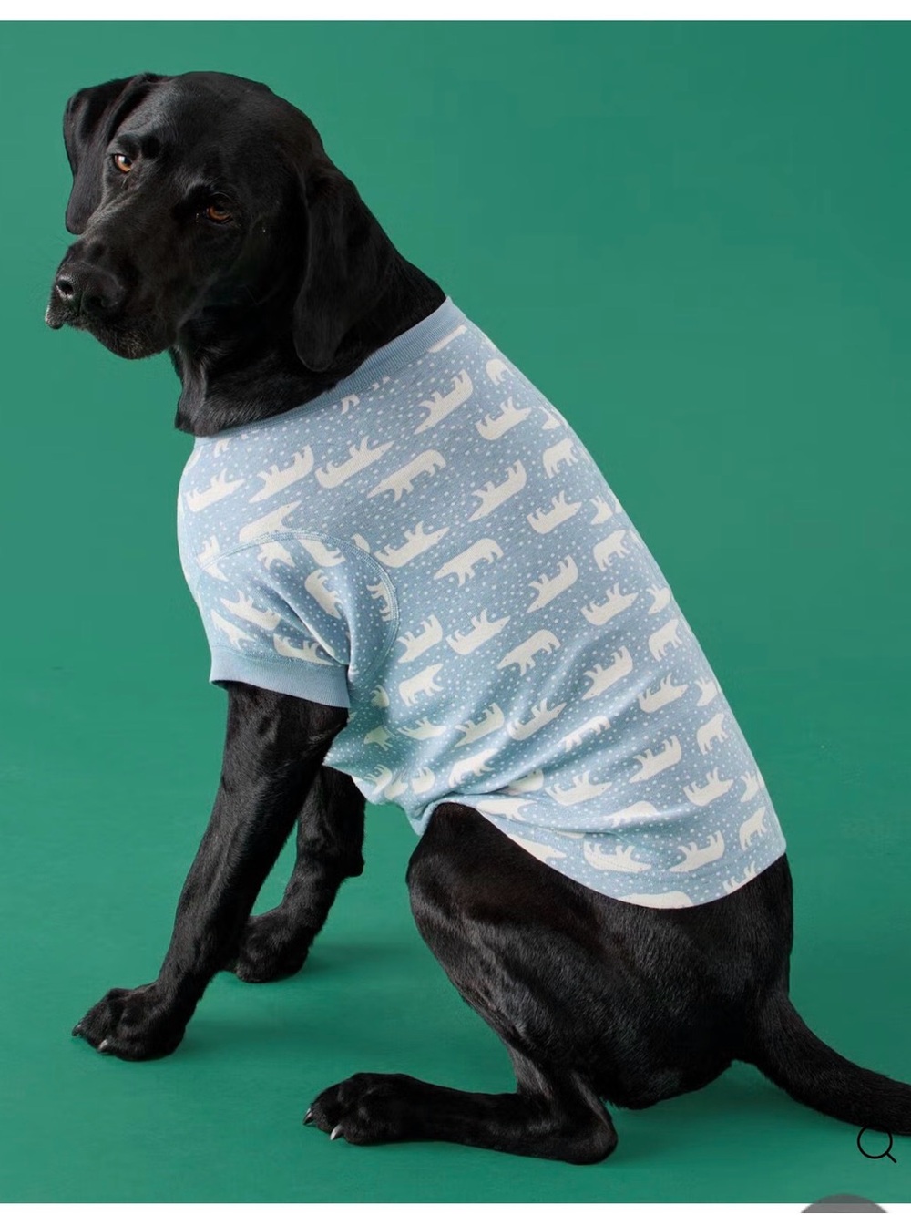 Hanna Andersson Light Blue Polar Bear Print Dog Tee NWT